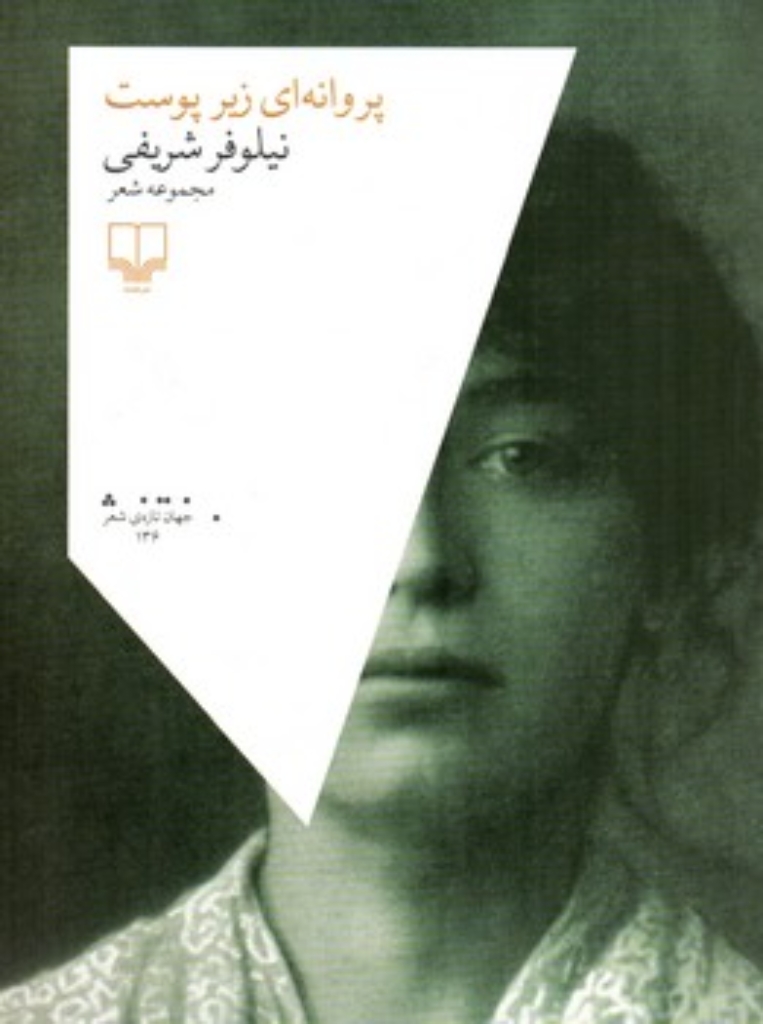 تصویر  پروانه ای زیر پوست - زیر پوست (رقعی-شمیز)